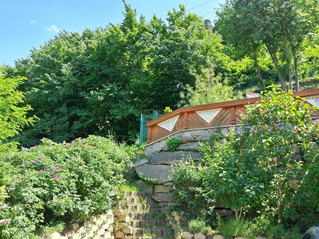 Bed and Breakfast Gastehaus Zur Schonen Aussicht Spitz an der Donau Zewnętrze zdjęcie